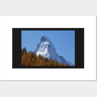 Matterhorn, autumn, trees, forest, Zermatt, Valais, Switzerland Posters and Art